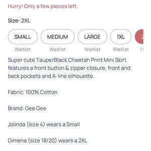 Gee Gee Cheetah Print Mini Skirt